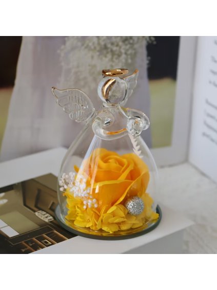 Stabilizovaná květina, věčná růže anděl