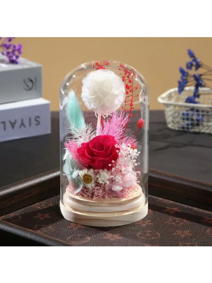 Stabilizovaná květina, věčná růže