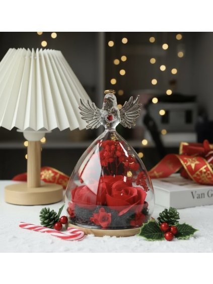 Photoroom 20251205 124909