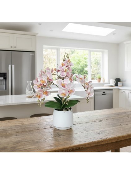 Photoroom 20260107 193409