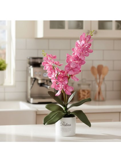 Photoroom 20260109 140513