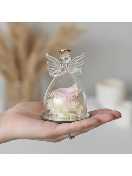 Photoroom 20260115 153906