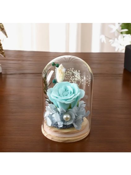 Stabilizovaná květina, věčná růže