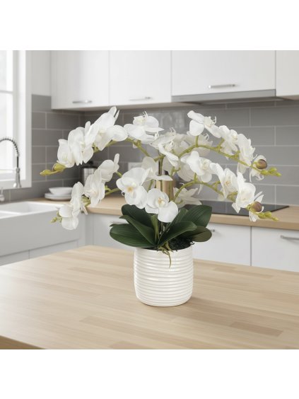 Photoroom 20260117 121725