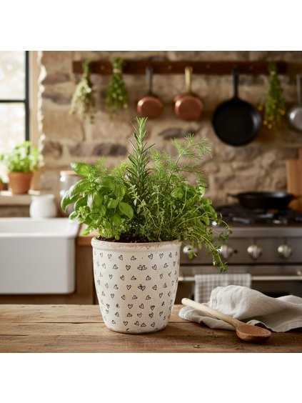 Photoroom 20260120 143342