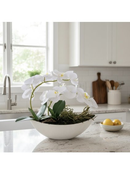 Photoroom 20260109 180522