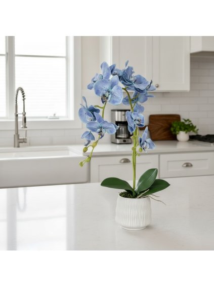 Photoroom 20260107 190323