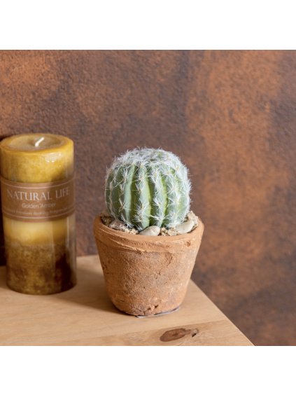 D3279118 EFEE 47C1 B4C2 07DACAC697E8