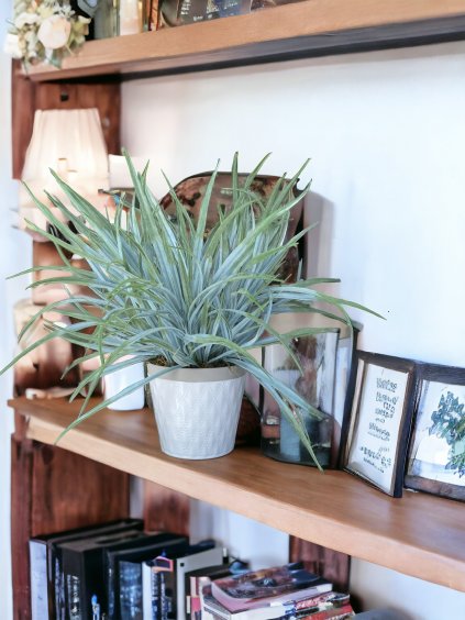 D19A7C2B 376F 4091 B1A3 73257D0CB66C