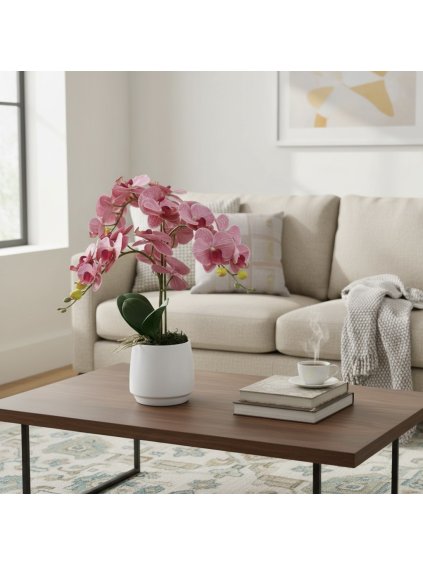 Photoroom 20260109 135517