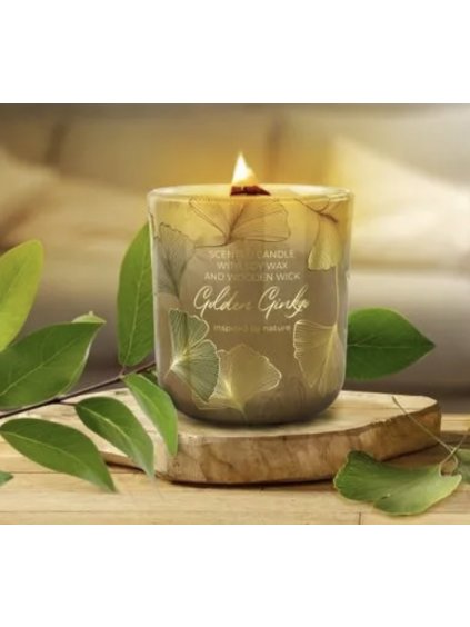 69F03CEC 94BE 4602 8021 0C201B68FB15