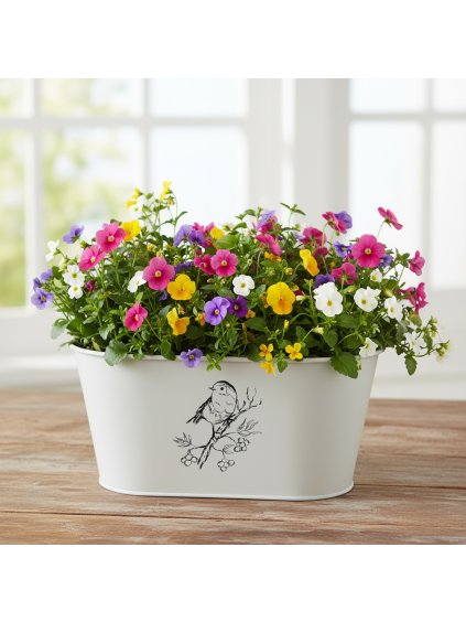 Photoroom 20260119 125927