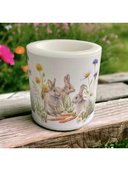 8776FB4D EC65 4BCC B550 DE7E23E4DB8E