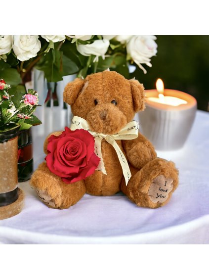 576C5F3C D987 4BC8 9FC5 A0DDE96A6ED2