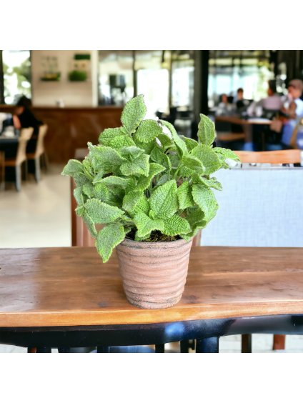 77ECB7E4 5187 4728 AD54 0DFBA9984B99