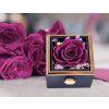 Věčná růže, dárková krabička na šperky