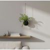 Umělá kokedama 25 cm