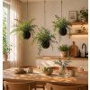 Umělá kokedama 25 cm