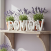 Photoroom 20260603 164925