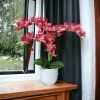 Umělá orchidej v květináči červená.