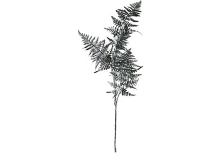 10003 10003 1 pixelcut export 1223