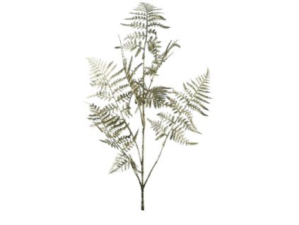 10006 10006 1 pixelcut export 1224