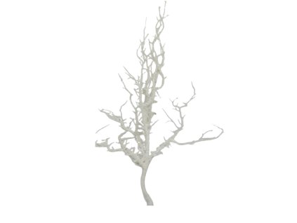 10027 10027 1 pixelcut export 1325