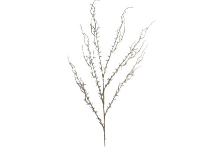 10030 10030 1 pixelcut export 1326