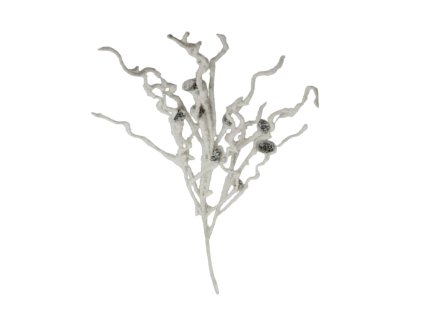 10033 10033 1 pixelcut export 1365