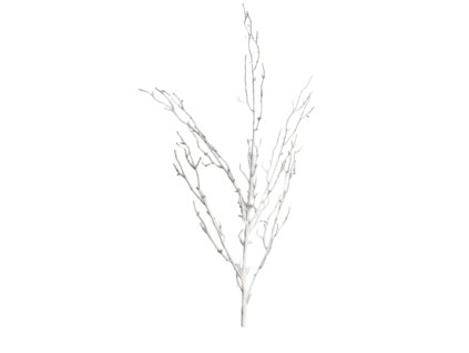 10039 10039 1 pixelcut export 1335