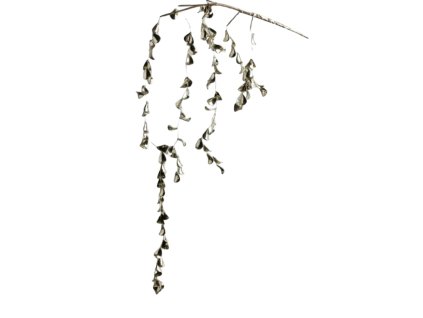 10045 10045 1 pixelcut export 1315