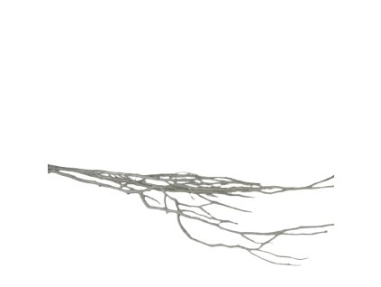 10051 10051 1 pixelcut export 1314