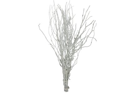 10078 10078 2 pixelcut export 1363