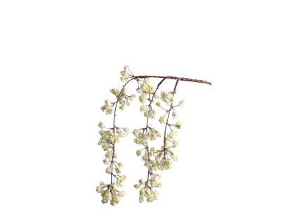 10093 10093 1 pixelcut export 1331