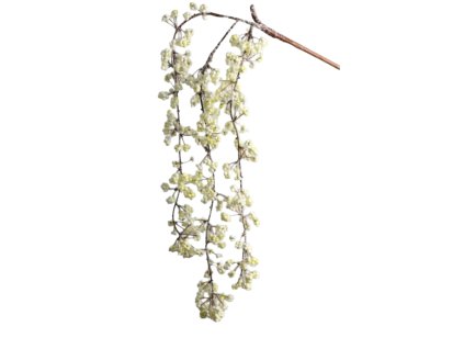 10096 10096 1 pixelcut export 1330