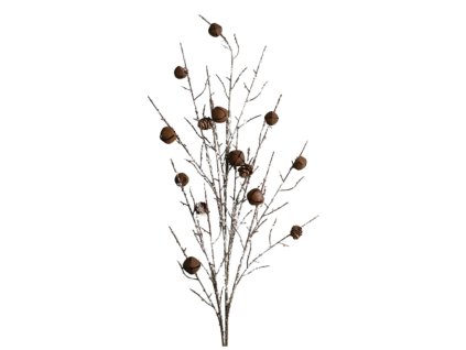 10105 pixelcut export 2025 11 09t145439 575