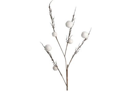 10111 10111 1 pixelcut export 1323