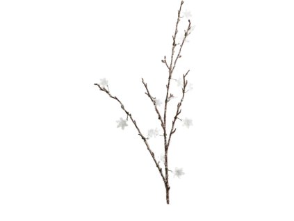 10120 10120 1 pixelcut export 1319