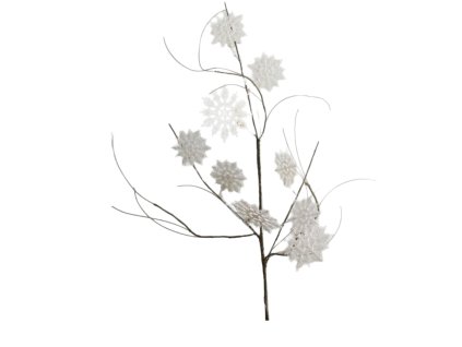 10123 10123 1 pixelcut export 1320