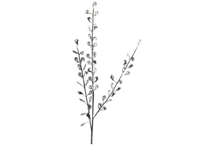 10126 10126 1 pixelcut export 1321