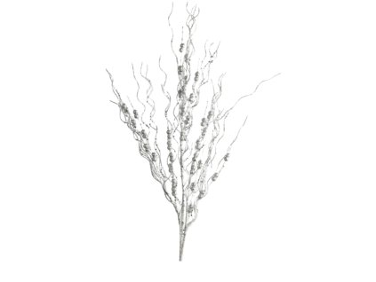 10129 10129 1 pixelcut export 1333