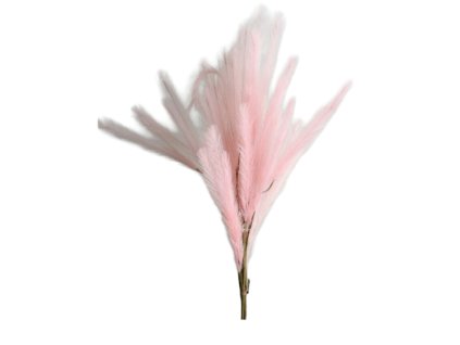 10132 10132 1 pixelcut export 1312