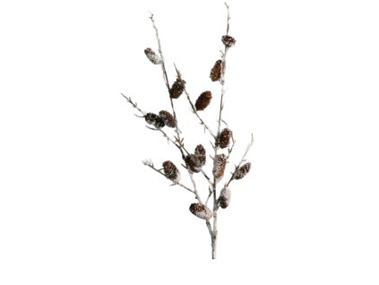 10141 10141 1 pixelcut export 1392