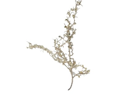 10144 10144 1 pixelcut export 1393