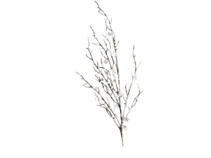 10153 10153 1 pixelcut export 1343