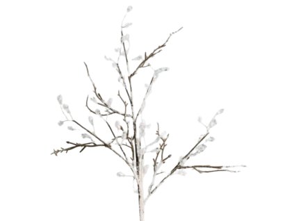 10156 pixelcut export 2025 11 09t145545 970