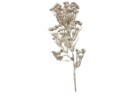 10195 10195 1 pixelcut export 1234