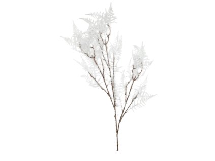 10198 10198 1 pixelcut export 1235