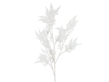 10201 pixelcut export 2025 11 09t150314 708