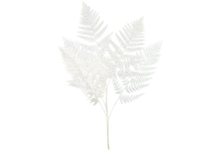 10222 10222 1 pixelcut export 1238